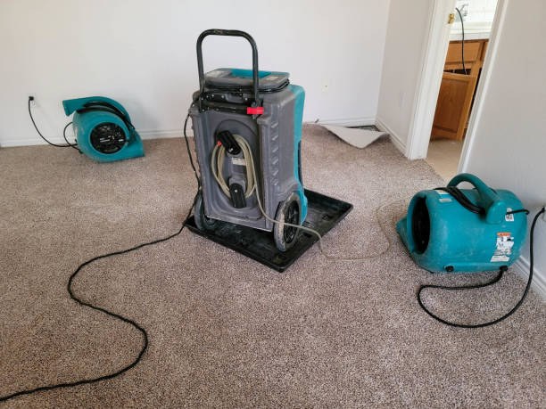 Best Commercial water damage restoration  in Oakley, UT