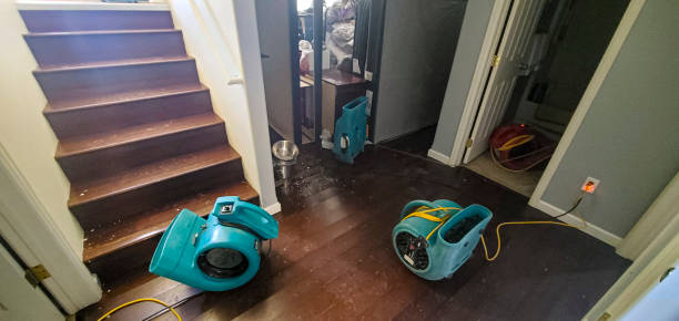 Best 24/7 water damage repair  in Oakley, UT
