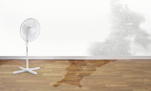 Best Fire Damage Restoration  in Oakley, UT