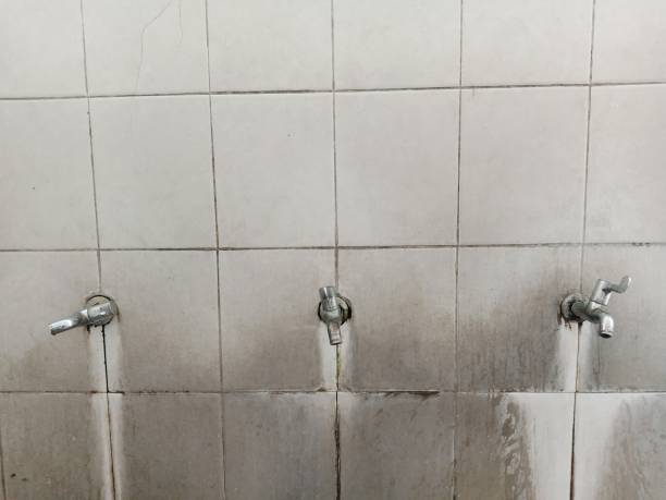 Best Basement water damage restoration  in Oakley, UT