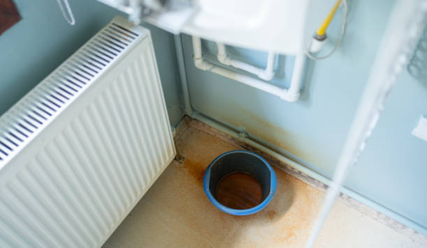 Best Ceiling water damage repair  in Oakley, UT