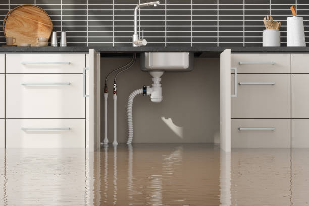 Sewage cleanup and water damage restoration in Oakley, UT